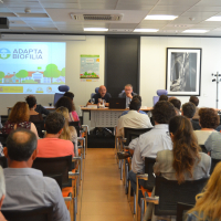 Imagen: Diputación de Badajoz celebra en Don Benito una jornada sobre infraestructuras verdes municipales...