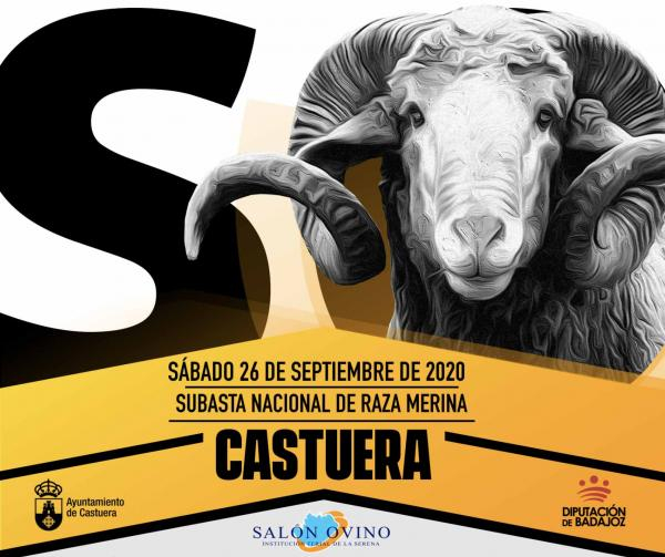 La subasta nacional de raza merina de la 35 edición del Salón Ovino de Castuera se celebrará el 26 de septiembre