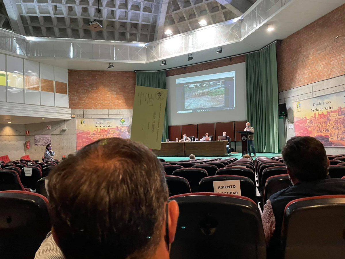 La Diputación de Badajoz ha participado en la subasta de Zafra primavera 2021 de la Feria Internacional Ganadera