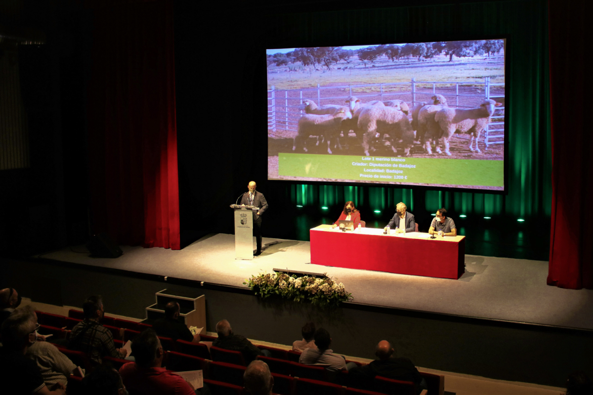 La Diputación de Badajoz ha participado en la subasta de ganado de la XI Feria Ganadera y Agroturística de la Siberia