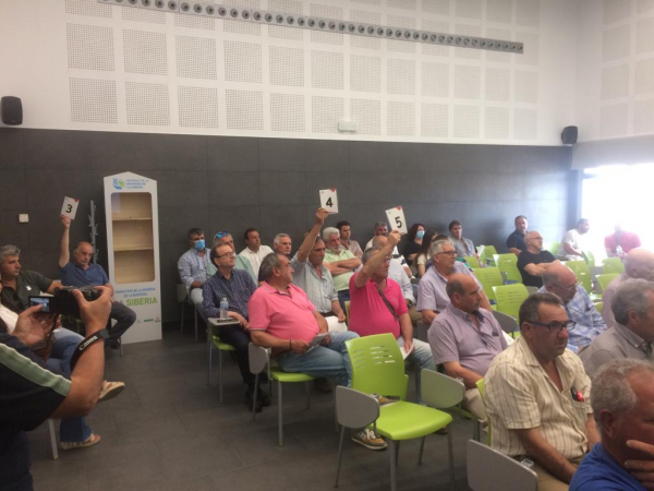 Imagen: Diputación de Badajoz ha subastado ganado merino en la XII Feria Ganadera y Agroturística de la S...