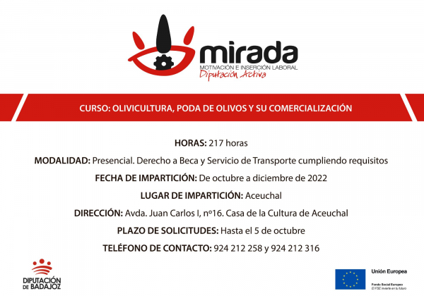Aceuchal acogerá un nuevo curso de &quot;Olivicultura, Poda de Olivos y su Comercialización&quot; impulsado por la Diputación de Badajoz